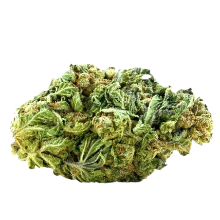 Small Bud Jamaikann Greenhouse 16% CBD À partir de 2.90€ le gramme prix degressif 💵