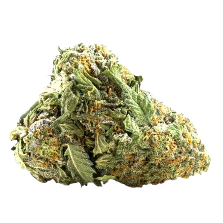 Small Bud Strawberry Banana GH 16% CBD À partir de 2.90€ le gramme prix dégressif 💵